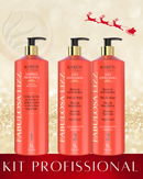 Kit 1 Shampoo+ 2 Ativos