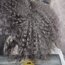 Kit 1 Shampoo+ 2 Ativos